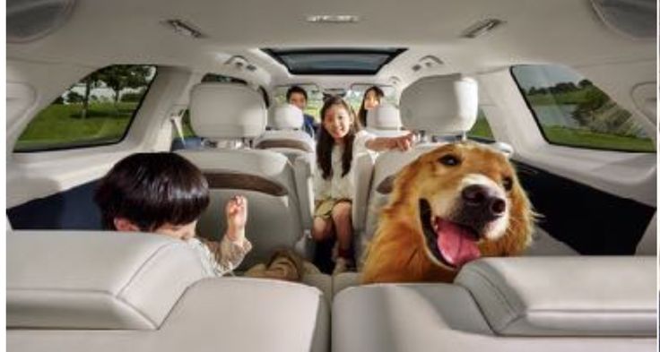 “ธ.ทิสโก้ สินเชื่อรถยนต์” ครบทุกบริการ เช่าซื้อรถใหม่-มือสอง และรถแลกเงิน